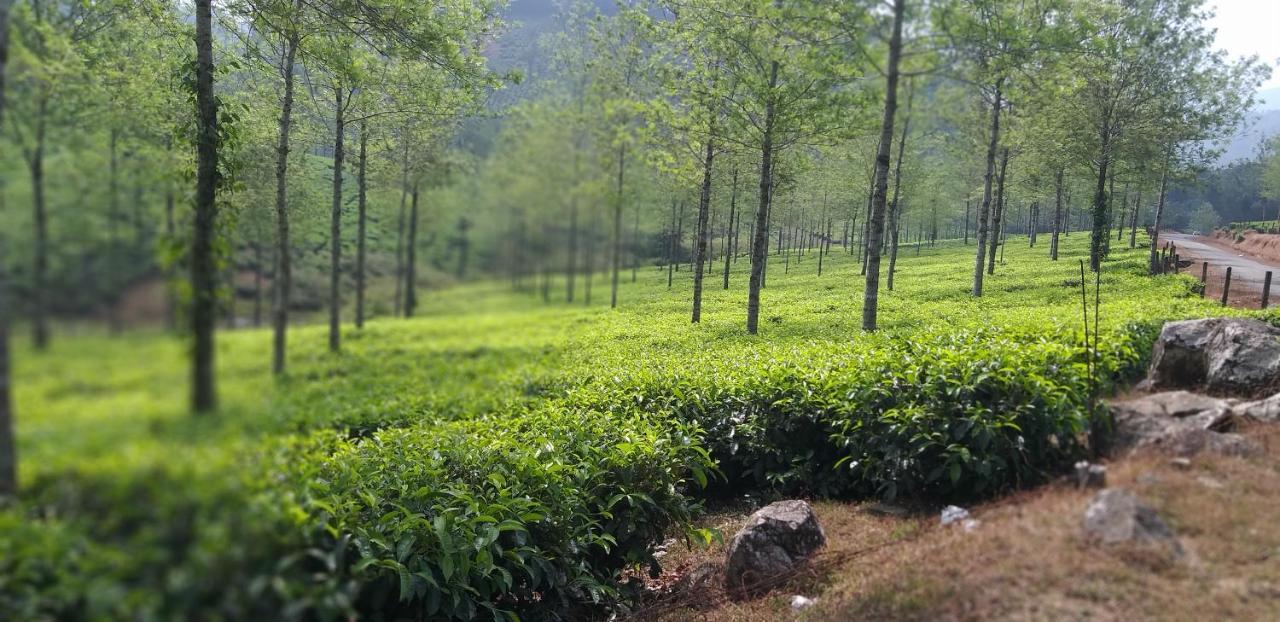 Spice Cottage Homestay Thekkady Esterno foto