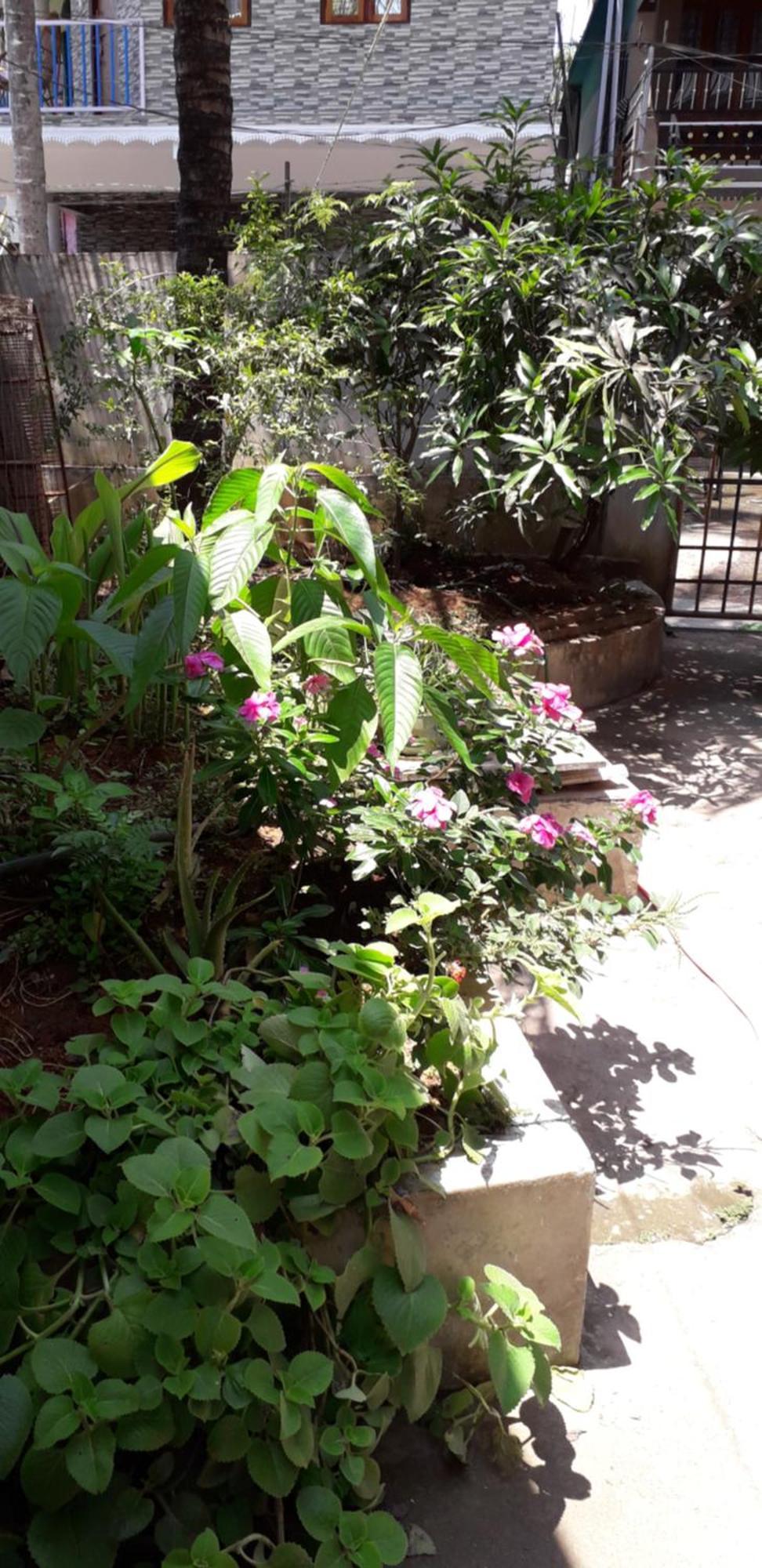 Spice Cottage Homestay Thekkady Esterno foto